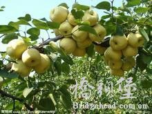 未命名.jpg