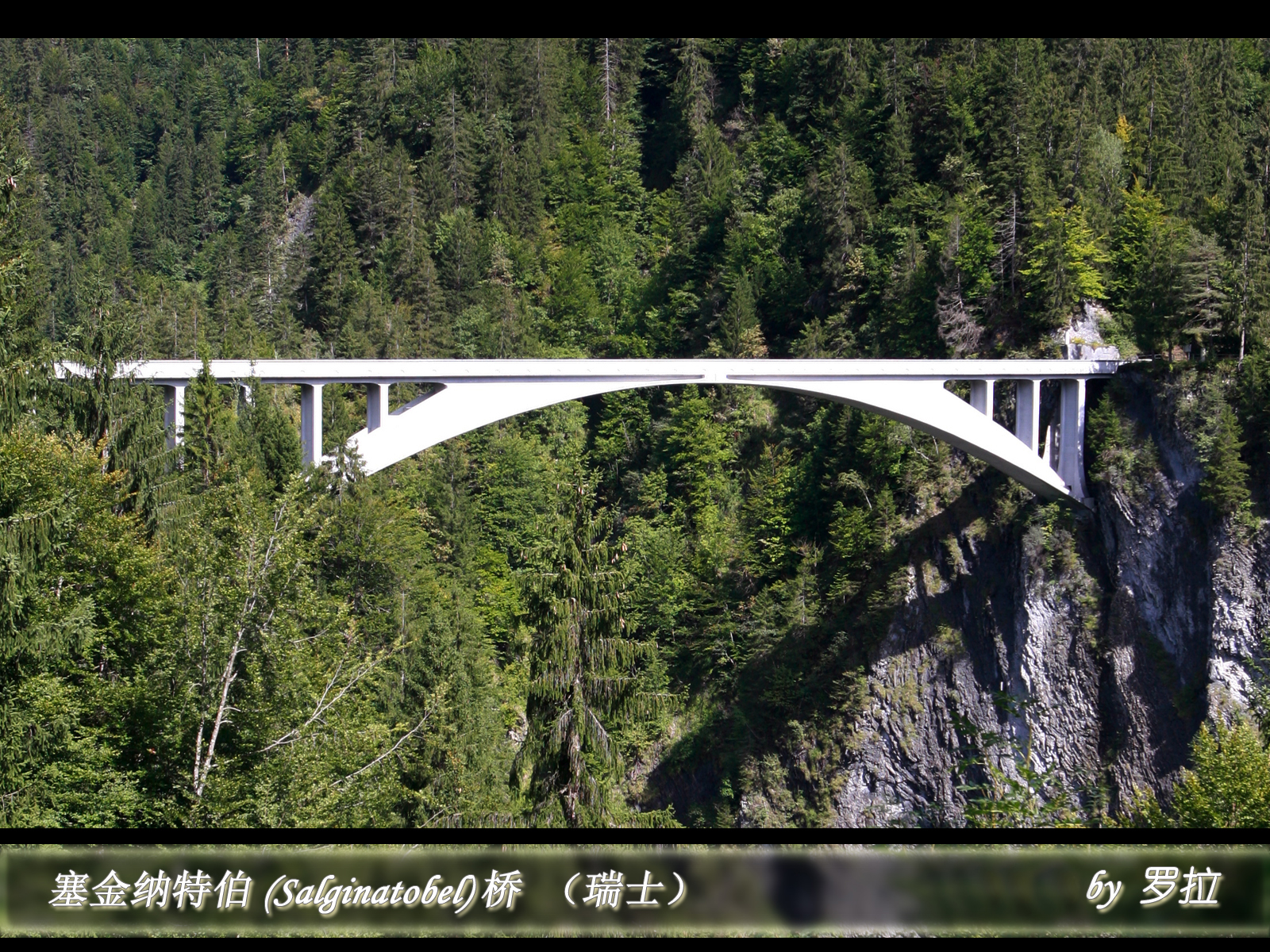 塞金纳特伯(Salginatobel)桥（瑞士）01.jpg