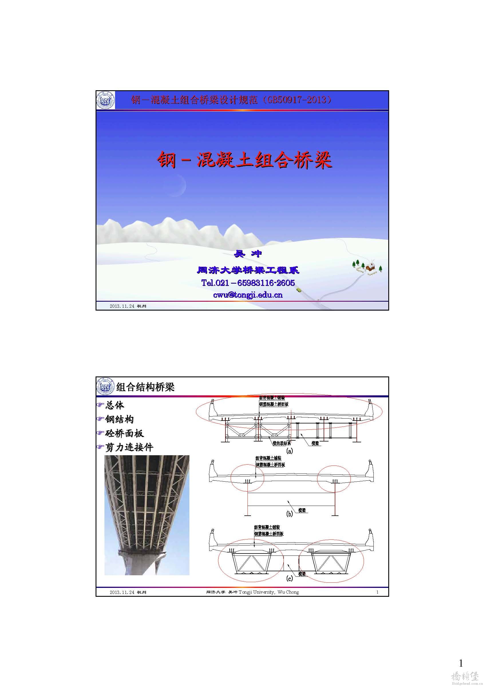 组合桥总体设计与构造（吴冲）_页面_01.jpg