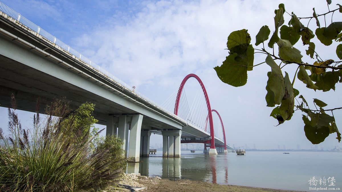 之江大桥摄影 (14).jpg