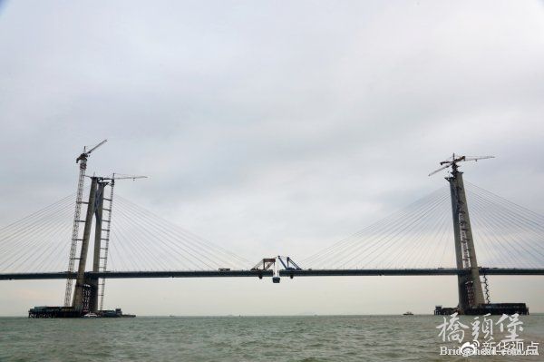 港珠澳大桥成长 (7).jpg